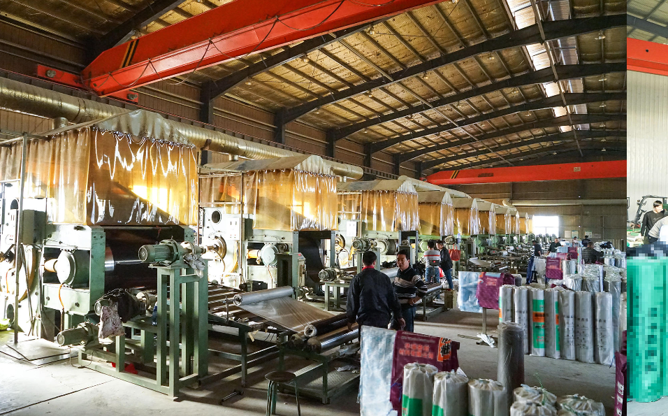 1701846682112994.jpg 1701846682112994.jpg